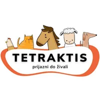 Tetraktis